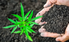 1766508949739.png 1766508949739.png