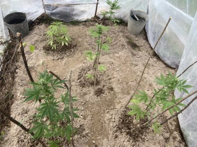 22.05.22 4.jpeg 22.05.22 4.jpeg