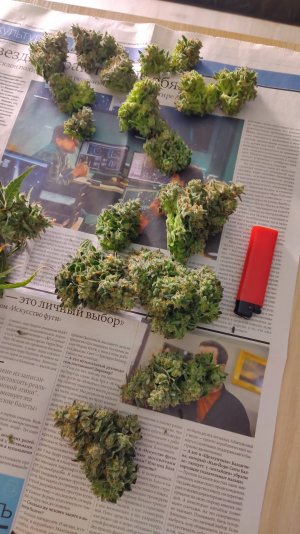 IMG_20220523_101625.jpg IMG_20220523_101625.jpg