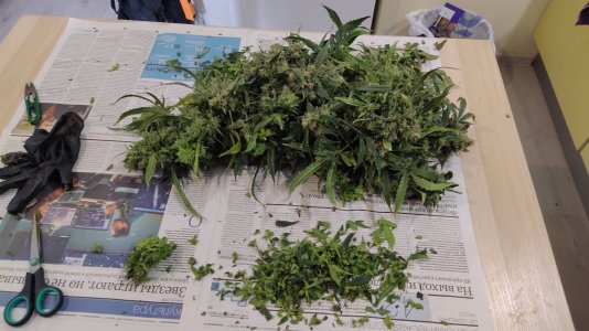 IMG_20220523_112830.jpg IMG_20220523_112830.jpg