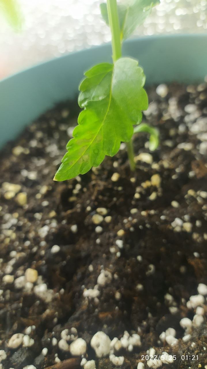 photo_2022-05-25_11-31-52 (2).jpg