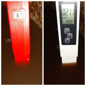 Торф.субстрат после доп.кисления торфом.jpg