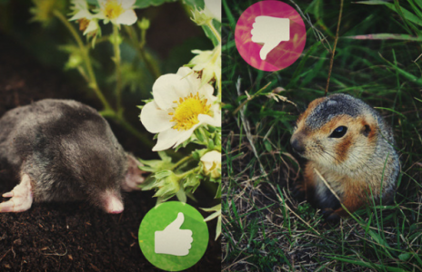 1653807329938.png 1653807329938.png