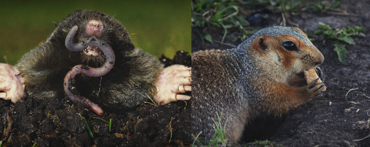 1653807373258.png 1653807373258.png