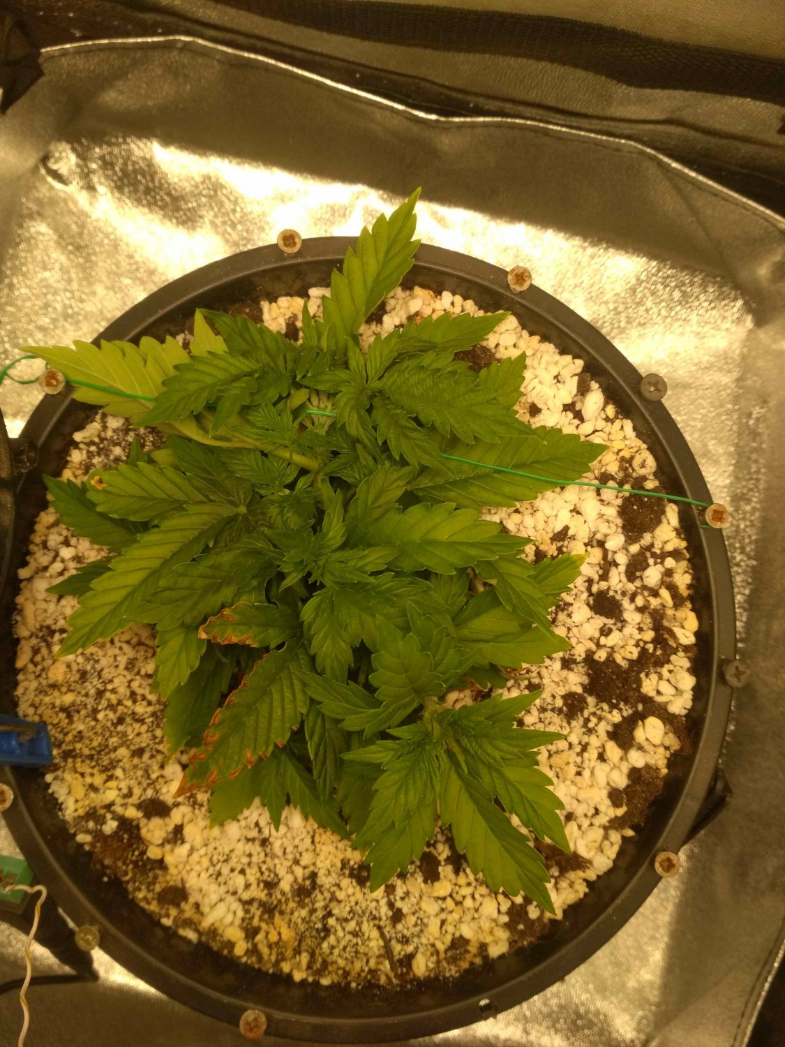 IMG_20220529_233941.jpg IMG_20220529_233941.jpg