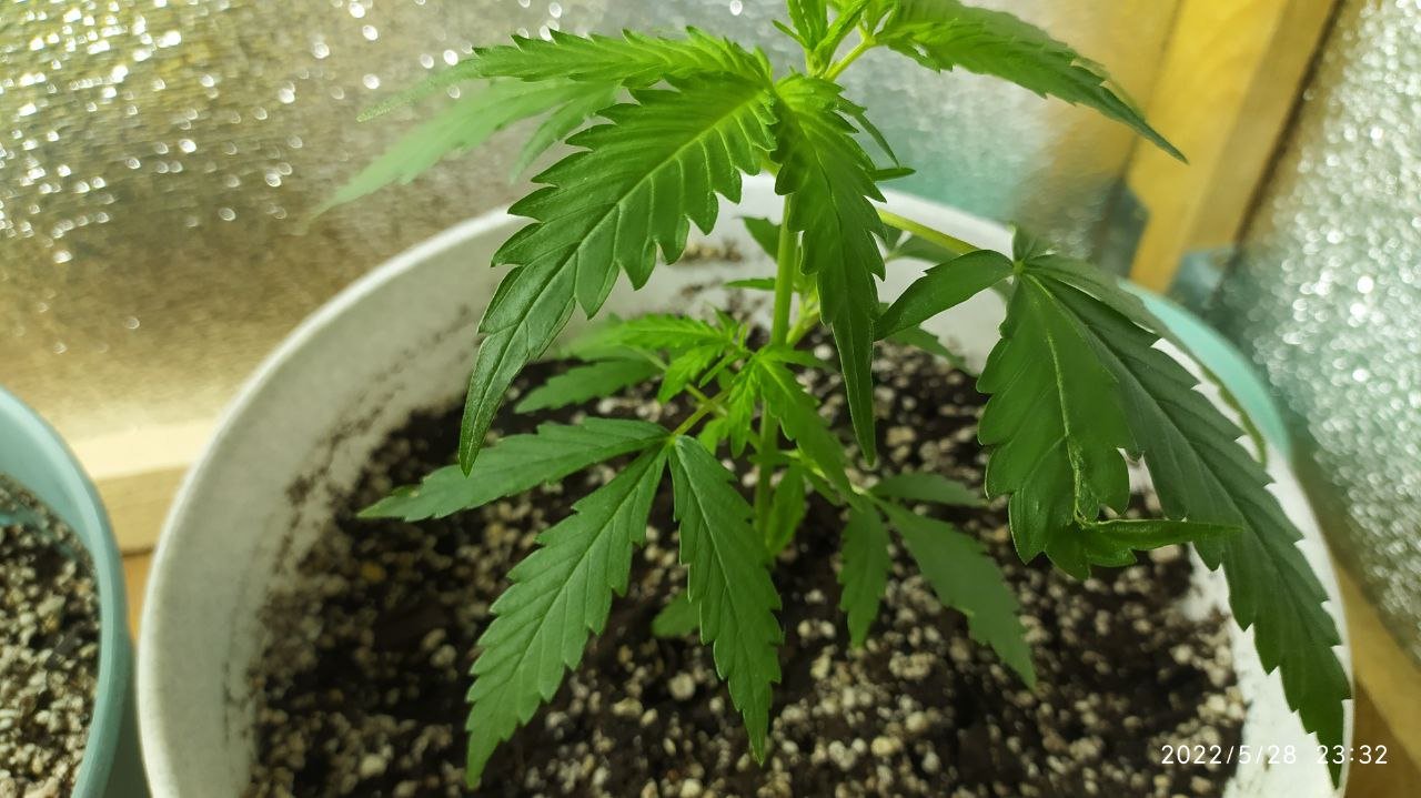 photo_2022-05-30_01-47-56 (4).jpg