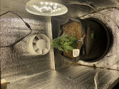 2B516B6A-23C1-466C-B6F2-9326C4A66258.jpeg 2B516B6A-23C1-466C-B6F2-9326C4A66258.jpeg