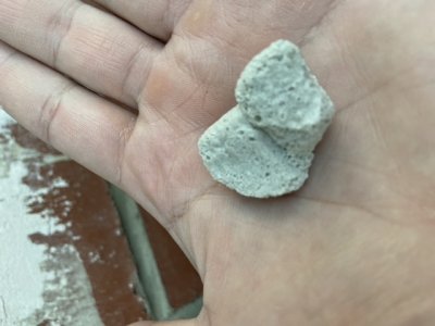 F4AE49F7-7218-4EA6-A99A-12BA93C18133.jpeg F4AE49F7-7218-4EA6-A99A-12BA93C18133.jpeg