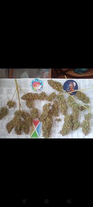 Screenshot_2022-05-31-16-19-37-03.jpg Screenshot_2022-05-31-16-19-37-03.jpg