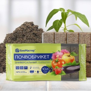 6EBFA020-D63A-4A39-A193-D8DC72818C0A.jpeg 6EBFA020-D63A-4A39-A193-D8DC72818C0A.jpeg