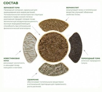 CCAEDC2B-212B-4EA2-9198-F67AD007D813.jpeg CCAEDC2B-212B-4EA2-9198-F67AD007D813.jpeg