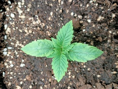 WhatsApp Image 2022-05-31 at 08.07.04.jpeg WhatsApp Image 2022-05-31 at 08.07.04.jpeg