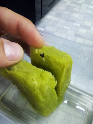 IMG_20220601_142059_458_copy_600x800.jpg IMG_20220601_142059_458_copy_600x800.jpg