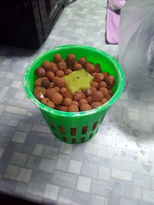 IMG_20220601_142510_074_copy_600x800.jpg IMG_20220601_142510_074_copy_600x800.jpg