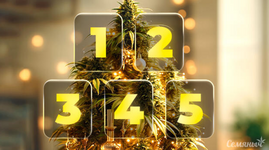 1766591503321.png 1766591503321.png