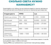 SVET_LUX.jpg SVET_LUX.jpg