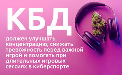 vliyanie-kannabisa-na-obshchie-uspekhi-v-kompyuternyh-igrah__xv5q8fyqxzajMnA1.jpg