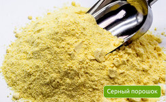 sernyj-poroshok__52w5V0rbY8tQcmQy.jpg
