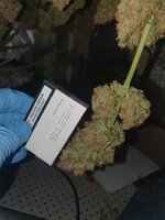 20251229_185052.jpg 20251229_185052.jpg