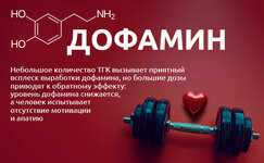 Dofamin__tLUd5abi1WejWrRb.jpg Dofamin__tLUd5abi1WejWrRb.jpg