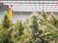 1767804680897.png 1767804680897.png