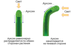 1768216803577.png 1768216803577.png