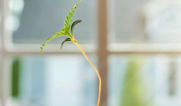 1768242619706.png 1768242619706.png