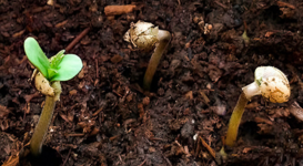 1768242624504.png 1768242624504.png