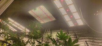 IMG_20260114_154515.jpg IMG_20260114_154515.jpg