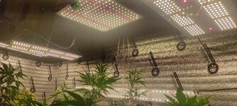 IMG_20260114_154520.jpg IMG_20260114_154520.jpg