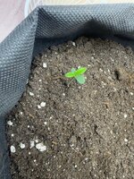 f20d2f85-54cc-4b5b-a087-75a88f3187eb (1).jpg