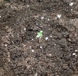 20260118_073338.jpg 20260118_073338.jpg