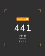 20250306_125413.jpg 20250306_125413.jpg