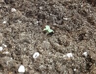 20250307_100625.jpg 20250307_100625.jpg