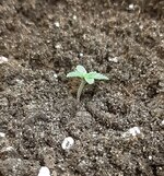 20250308_104422.jpg 20250308_104422.jpg