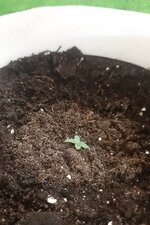 20260118_080217.jpg 20260118_080217.jpg