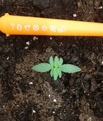 20260118_083137.jpg 20260118_083137.jpg