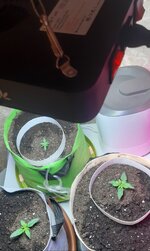 20260118_084551.jpg 20260118_084551.jpg