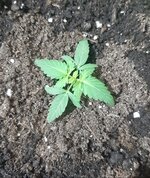 20260119_071242.jpg 20260119_071242.jpg