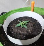 20260119_072123.jpg 20260119_072123.jpg