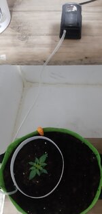 20260119_072422.jpg 20260119_072422.jpg