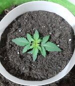 20260119_074219.jpg 20260119_074219.jpg