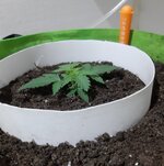 20260119_074108.jpg 20260119_074108.jpg