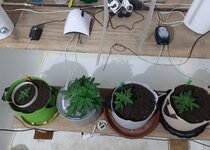 20260119_074136.jpg 20260119_074136.jpg