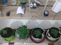 20260119_113838.jpg 20260119_113838.jpg