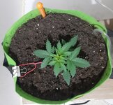 20260120_045015.jpg 20260120_045015.jpg