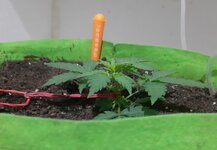 20260120_045003.jpg 20260120_045003.jpg