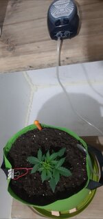 20260120_044941.jpg 20260120_044941.jpg