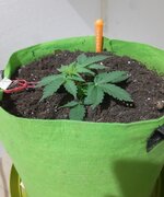 20260120_045241.jpg 20260120_045241.jpg