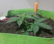 20260120_045537.jpg 20260120_045537.jpg